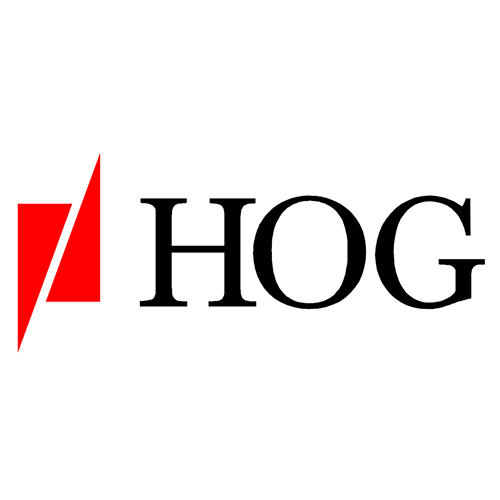 HOG Hospital Ortopédico de Goiânia